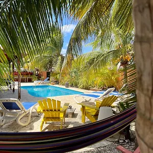 Gasthuis Oasis Guesthouse, Boutique Style